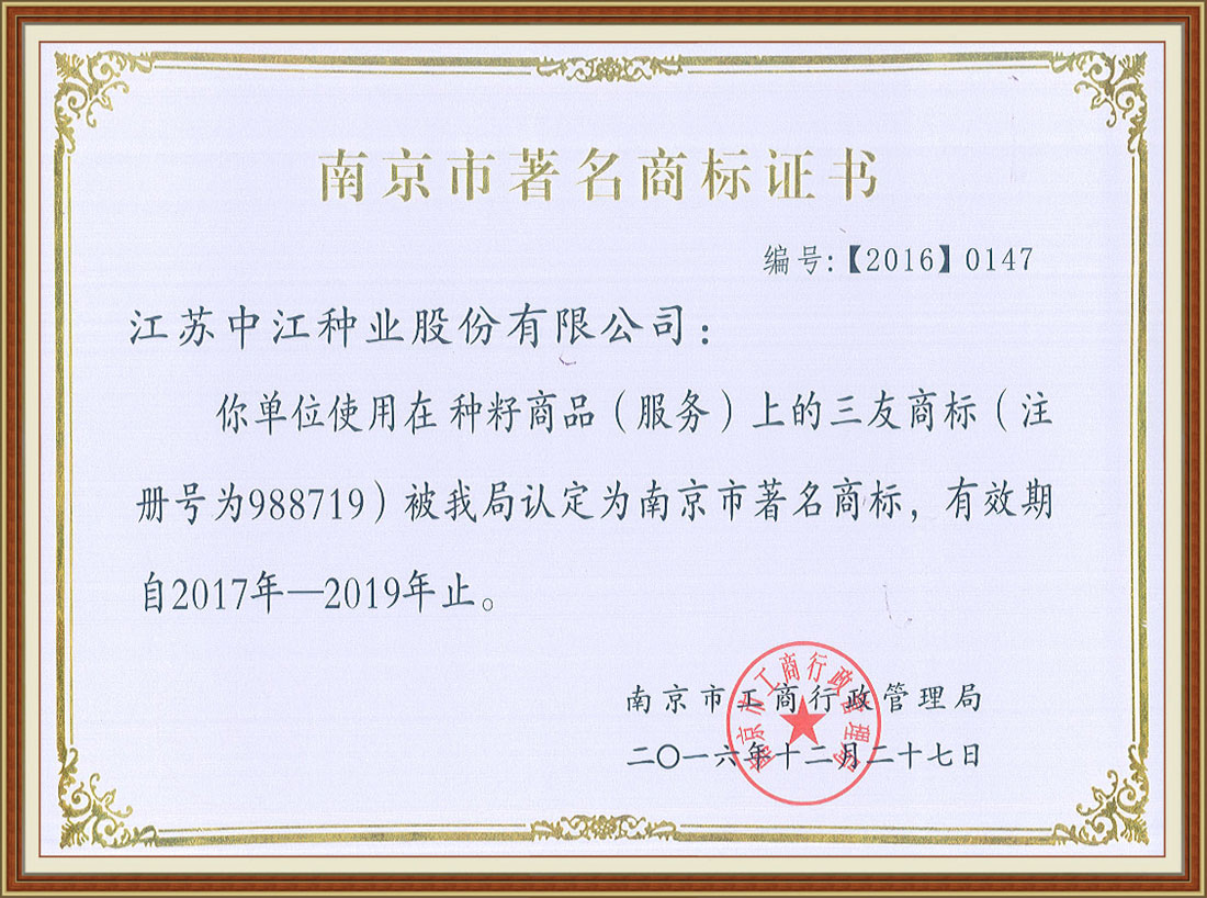 2016年度南京市著名商标证书